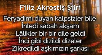 Filiz ismine akrostiş şiir