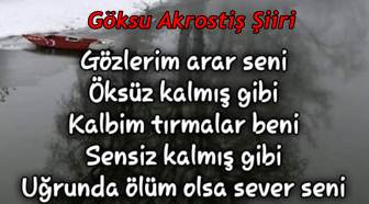 Göksu Akrostiş, Göksu İsmi İle İlgili Akrostiş Şiir