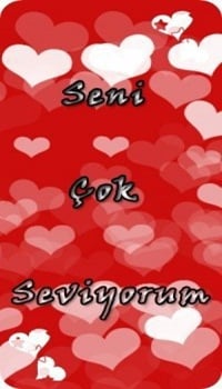 Sevda Yıldızı Akrostiş Şiir