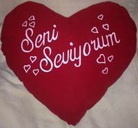 Seni Seviyorum