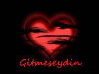 gitmeseydin