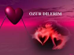 Özür Dilerim