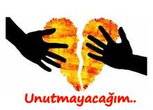 Seni Unutmayacağım