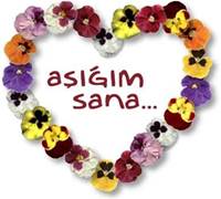 aşığım sana