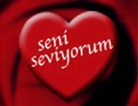 Seni Seviyorum (Şiir)