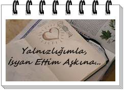 Yalnızlığımla İsyan Ettim Aşkına