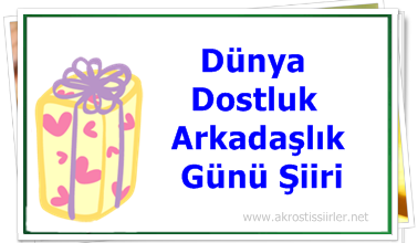 Dünya Dostluk ve Arkadaşlık Günü şiiri