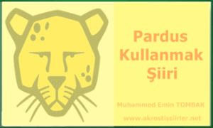 Pardus Kullanmak Şiiri