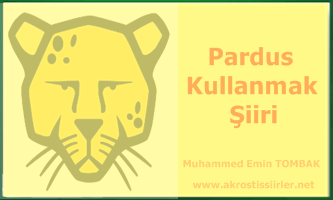 Pardus Kullanmak Şiiri